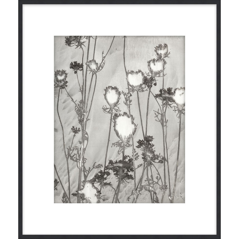 Lucent Botanicals 1, reproduction d'art encadrée, H 28,5 po x l 25,5 po