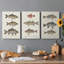 «Species of Antique Fish I», ensemble de 3 impressions sur toile tendue-1462736028