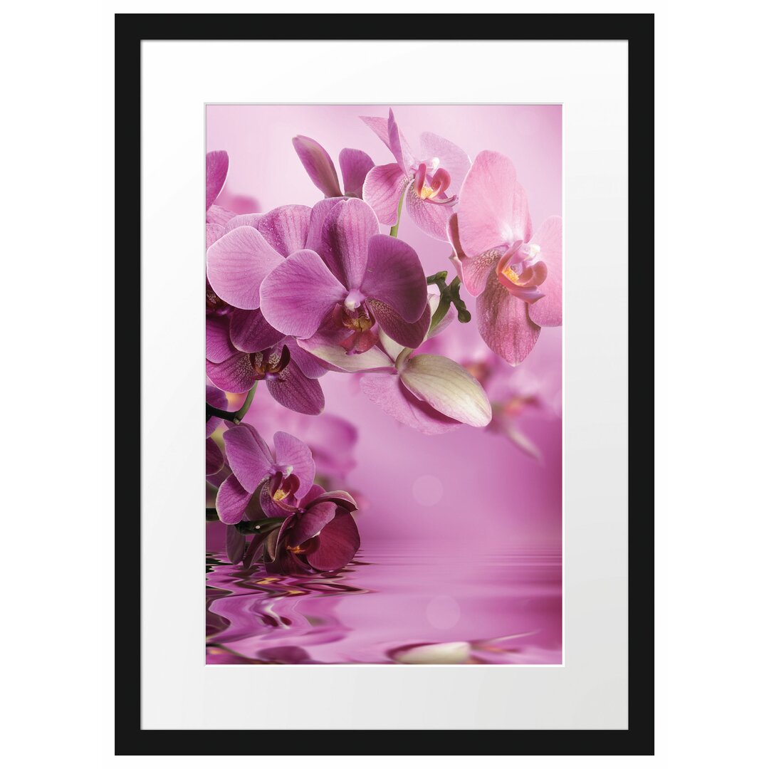 Gerahmtes Poster Wunderschöne Orchideenblüten