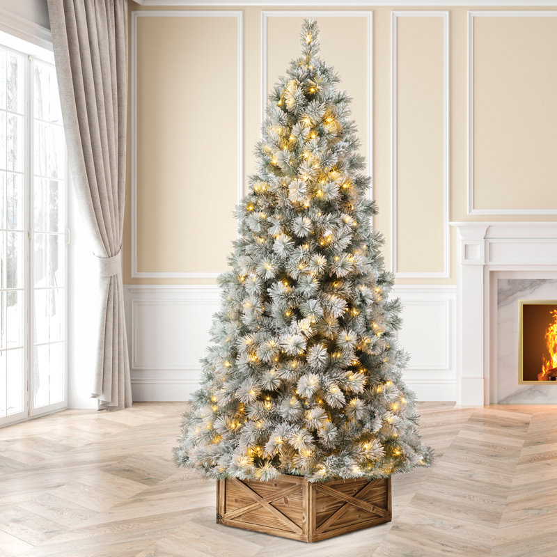 christmas tree with lights