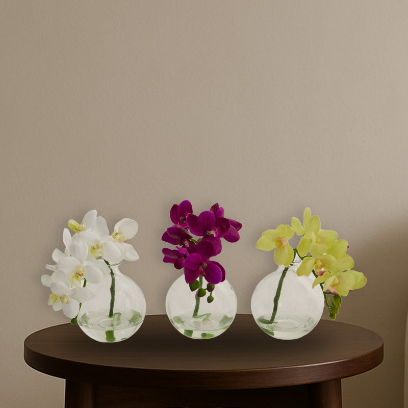 Phalaenopsis Orchid Planter Set