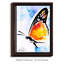 « papillon love xxx », impression-43610300-43610304