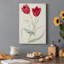Antique Botanical Collection III - reproduction d'art sur toile tendue-1807122343