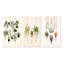 «Hanging Houseplants Boho Botanical Watercolor», 3 pièces sur toile-1594105589-1594105593
