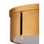 Orbit 2 - Light Flush Mount