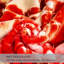 Couverture pour lit Knink-1834660561