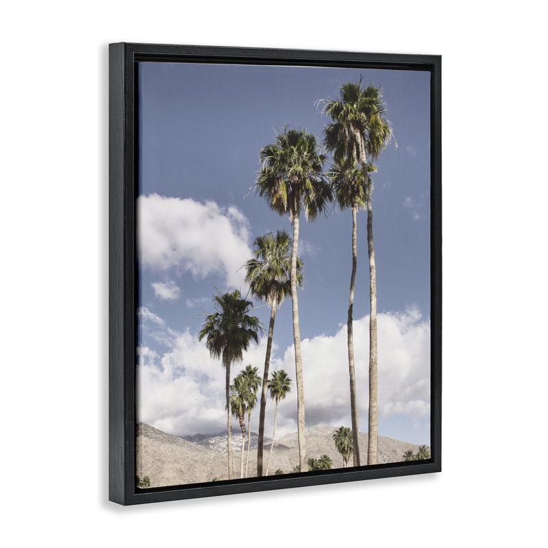 Cadre flottant Palm Springs, dessiné par Danita Delimont, H 31 po x l 25 po, Cadre flottant noir de jais