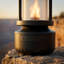 Renard flamme-120295459