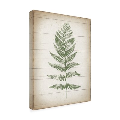 Moira Hershey ''Fern Print II V2'' Canvas Art -  Rosalind Wheeler, F2F14967B9AC419589DA478D82D75A51