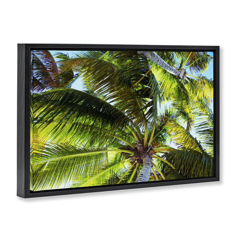 Toile flottante encadrée «Swaying Palm Leaves» par Emily Navas, Cadre flottant noir de jais, H 17 po x l 25 po