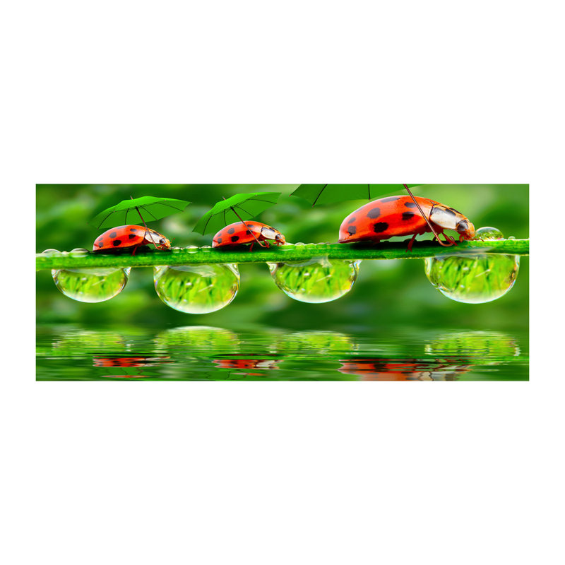 Ladybug Umbrellas - No Frame Print on Canvas