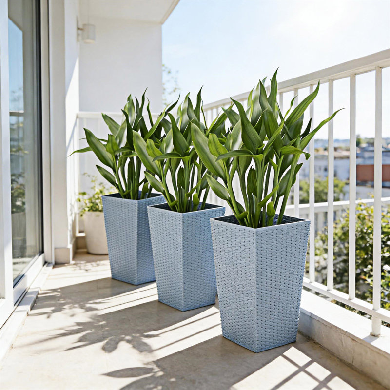 Ensemble de 3 pots à plantes, Gris clair