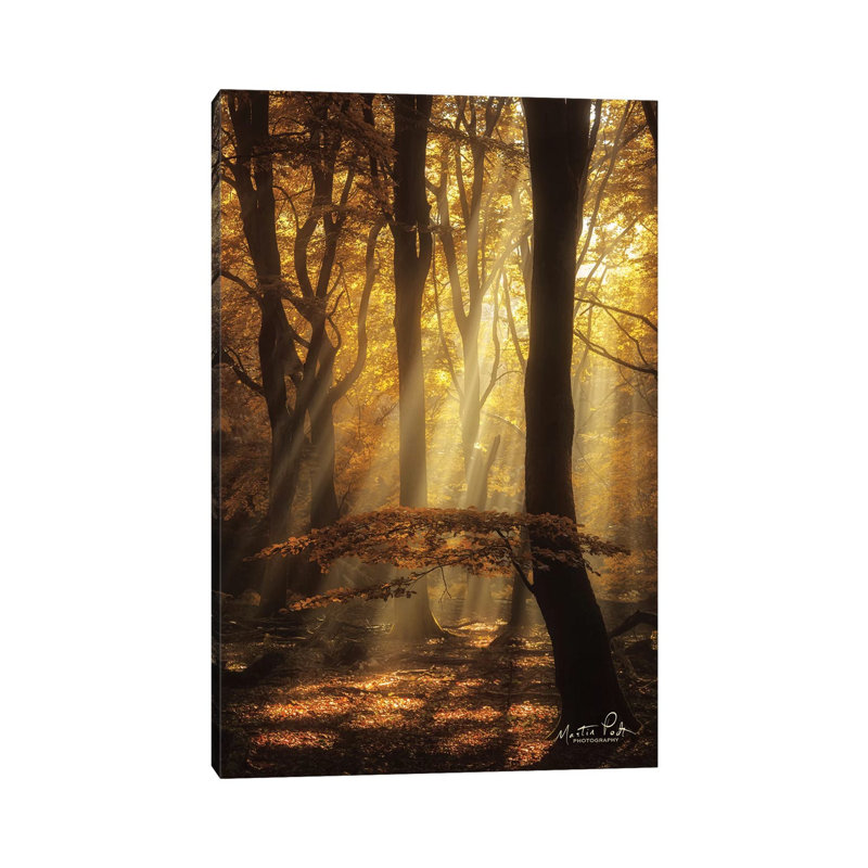 The Umbrella by Martin Podt - Wrapped Canvas Print, 66.04 cm H x 45.72 cm W x 1.91 cm D