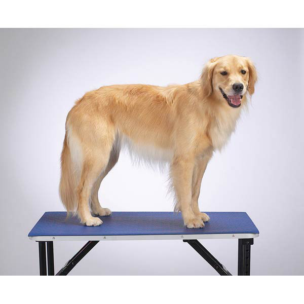 5.3'' H x 24'' D Plastic Adjustable Dog Table Accessory, 5.3" H x 48" W x 24" D, Blue