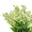 Centre de table mixte dans un vase