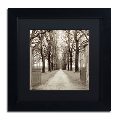 Alan Blaustein, «Veneto Giardini I», reproduction de photo encadrée