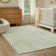 Celeta Washable Abstract Japandi Rainbow Striped Green Area Rug - Colorful Modern Carpet for Living Room, Bedroom, or Office Decor