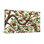 Plantes et fleurs branches de cerisier avec baies et feuilles