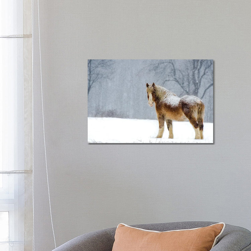 Belgian Snow II 1 Piece Wall Art on Canvas, 66.04 cm H x 45.72 cm W x 3.175 cm D, Wrapped Canvas