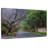 Mehar Jacaranda Trees In Pretoria-108816194