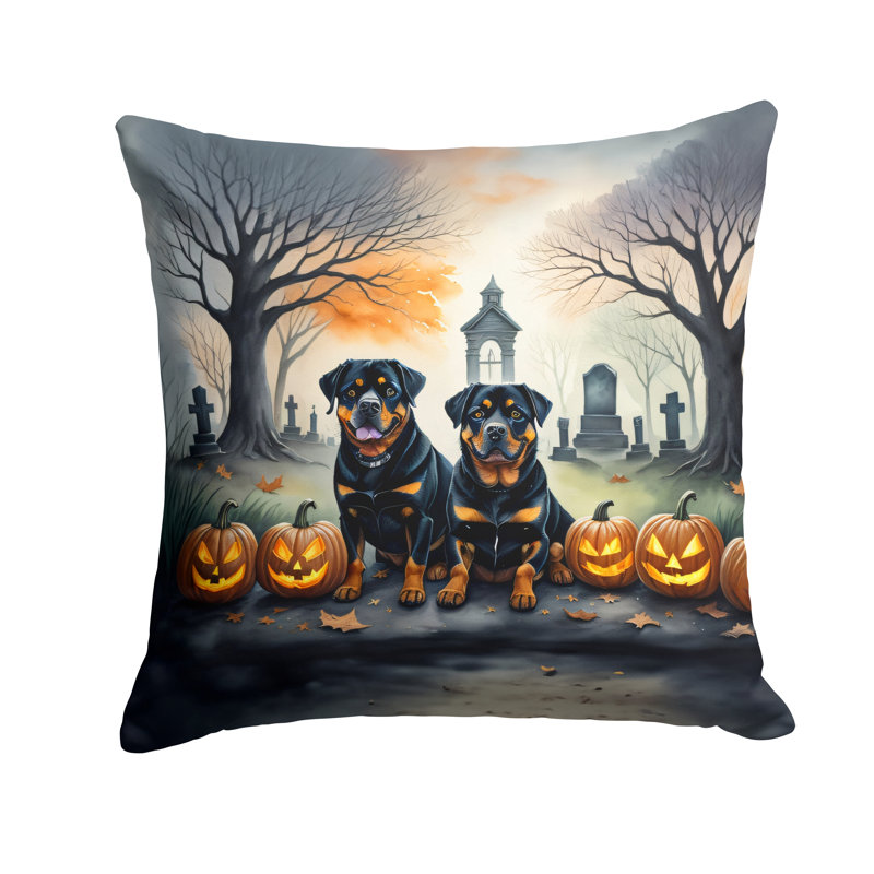 Other/No Pattern Outdoor Throw Pillow, 14" x 14"