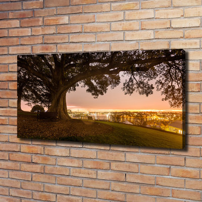 Old Tree - Wrapped Canvas Print