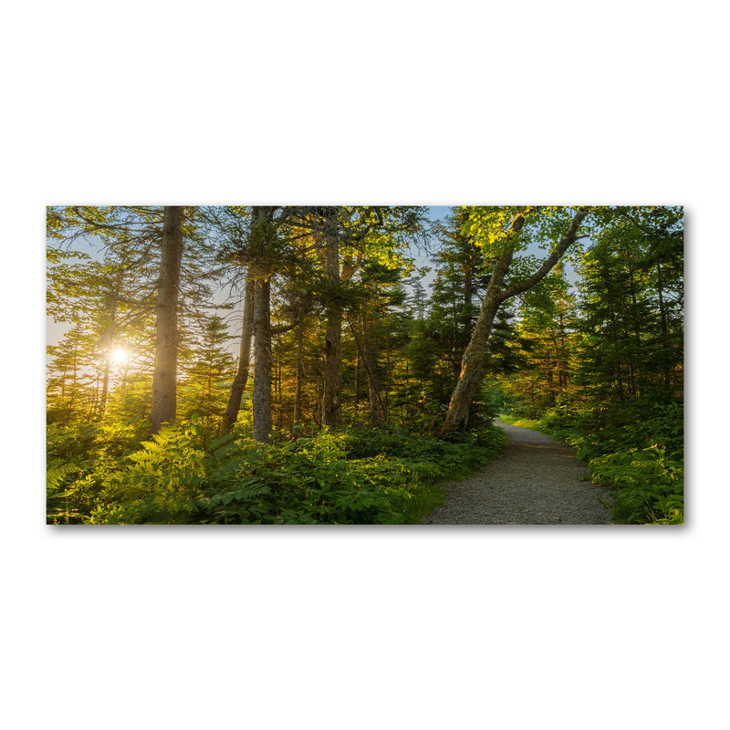 Forest 1 Piece Wrapped Canvas Wall Art