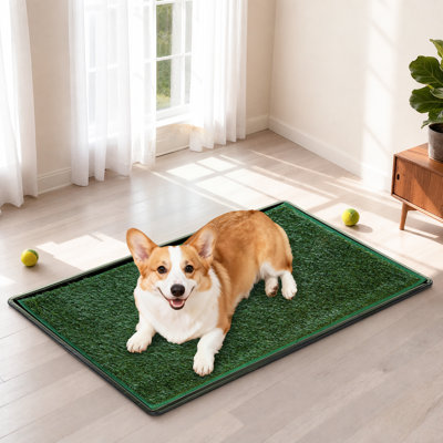 Dog Grass Pad With Tray Large 30.1”×20.3” Dog Litter Box Toilet With 2×Artificial Grass For Dogs With Hemmed Edge, Pee Pads For Dogs