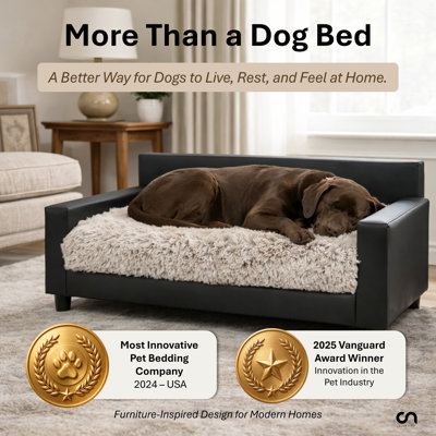 Canapé-lit orthopédique pour chien Dream Haven - gris