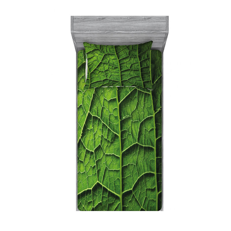 Ensemble de draps de forêt brésilienne exotique, Ensemble de draps pour lit simple avec drap-housse