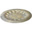 Decorative Tray