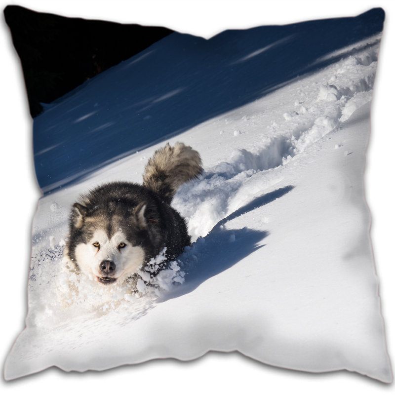 Alaska Square Cushion