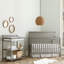 Armandale 2 -in-1 Convertible Crib-662180769