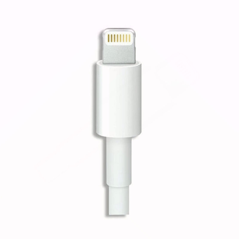 iPhone Data Cable