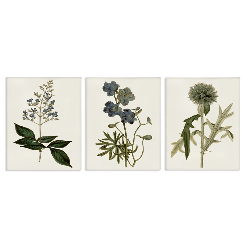 "Vintage Botanical Flowers on Beige", ensemble de 3 giclées par Curtis, Giclée encadrée noir minuit, H 30 po x l 24 po