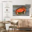 Crabe dormeur cuit Yarlin-111881276