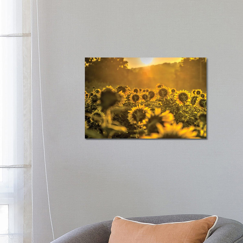 Into The Sun by David Gardiner - Print on Canvas, 66.04 cm H x 45.72 cm W x 3.175 cm D, Wrapped Canvas