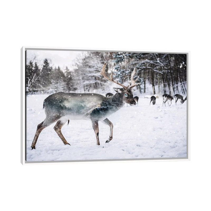 Winter Deer II by Paul Haag - Print on Canvas, White Framed, 66.04 cm H x 45.72 cm W