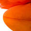 Coussin décoratif rond en tournesol-236664348-236664345