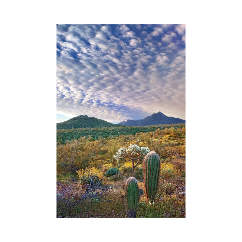 Saguaro And Teddybear Cholla, Arizona Amid Flowering Lupine And California Brittlebush II by Tim Fitzharris - Wrapped Canvas Print
