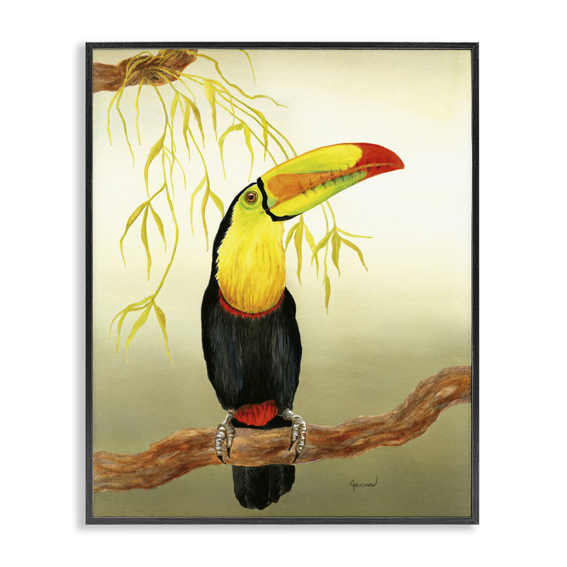«One Toucan on Branch», estampe numérique par Christine Reichow, Giclée encadrée noir minuit, H 14 po x l 11 po