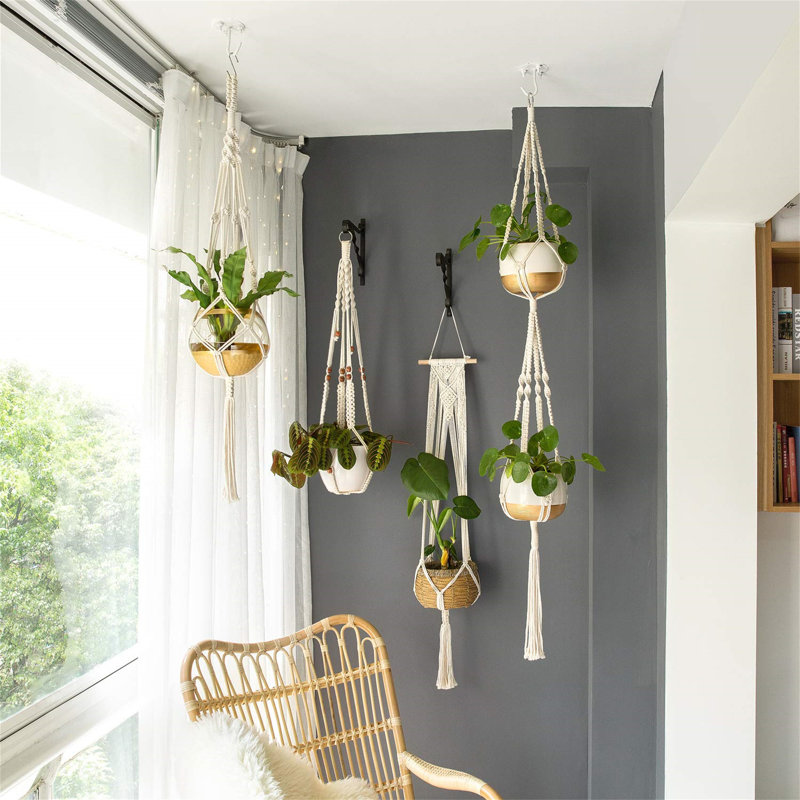 Sollis Hanging Planter