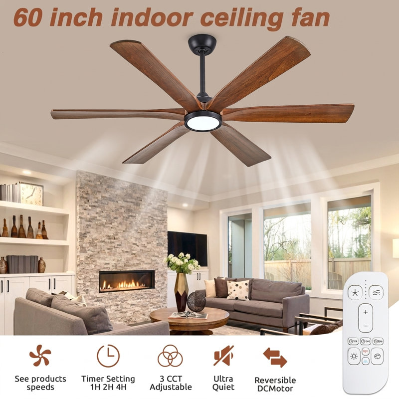 Ceiling Fan