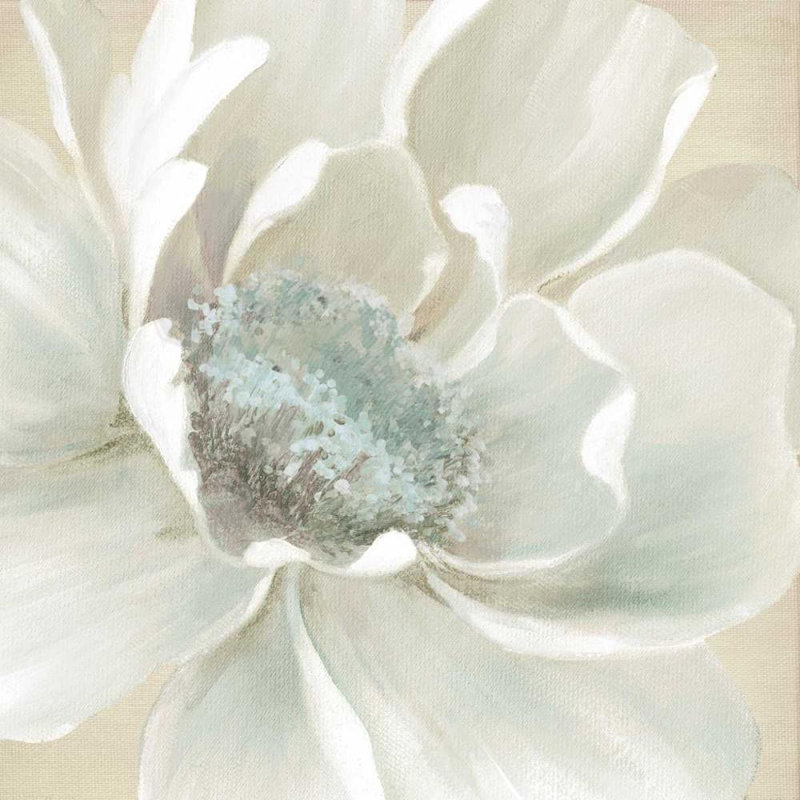 Art sur toile tendue par Red Barrel Studio® Robinson, Carol, Winter Blooms I, H 36 po x l 36 po