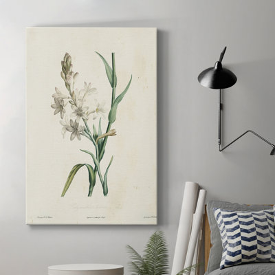 «Traditional Botanical IV», impression sur toile tendue