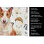 Torchon rouge et blanc Bull Terrier-1234934595