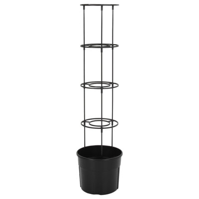 Avellana Pot Planter