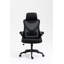Lapin Mesh Task Chair with Headrest
