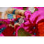Coussin Canvello 20 x 20