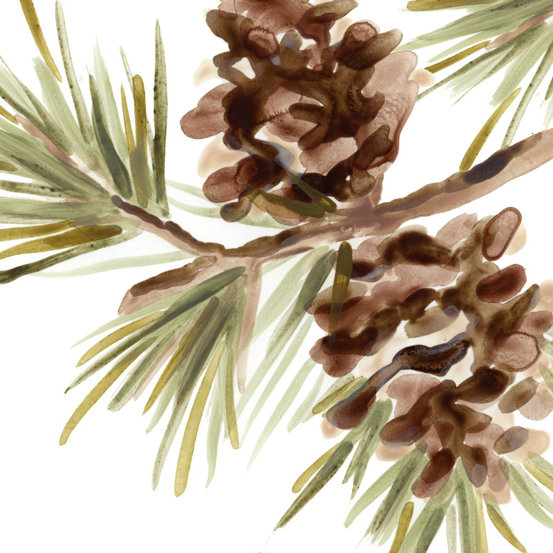 Simple Pine Cone IV by June Erica Vess - Wrapped Canvas Painting, 76cm H x 76cm W
